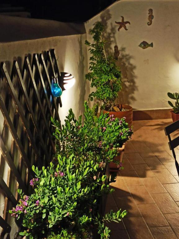 Apartament House Solesiculo Syrakuzy Zewnętrze zdjęcie